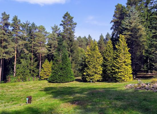 poland/podlachia/attraction/arboretum-insurgents-1863