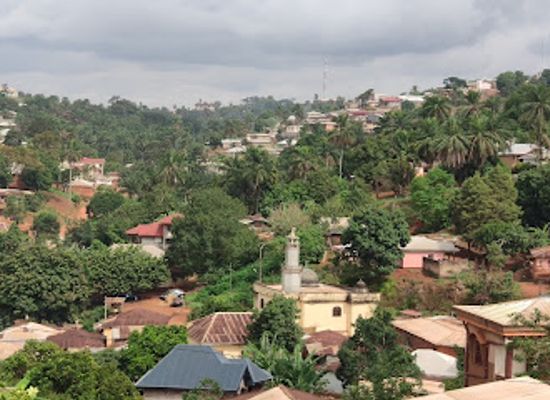 cameroon/east-region/attraction/musee-de-foumban