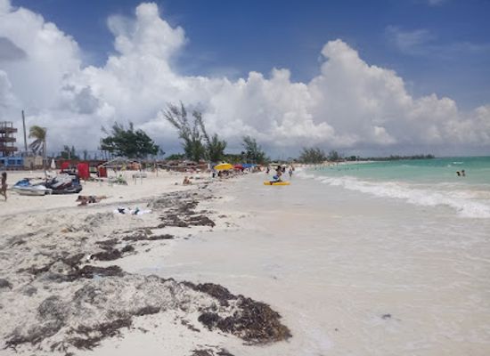 the-bahamas/grand-bahama/attraction/pirate-s-cove-zipline-and-water-park