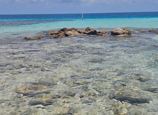 belize/cockscomb-basin-wildlife-sanctuary/attraction/gladden-spit-and-silk-cayes-marine-reserve