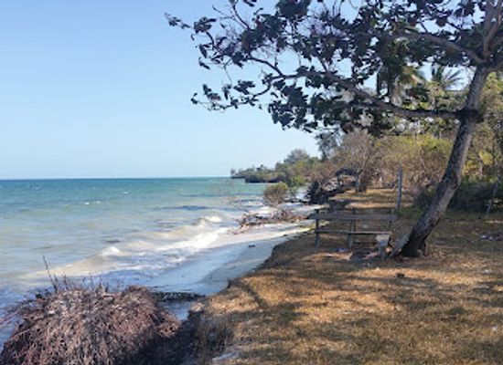 kenya/coastal-region/attraction/kaya-kinondo-sacred-forest