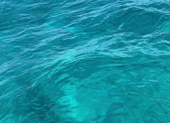 the-bahamas/bimini/attraction/neal-watson-bimini-scuba-center