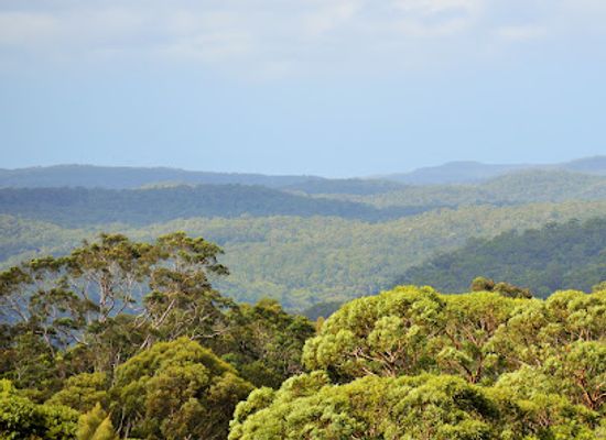 australia/central-coast/attraction/mount-white-lookout