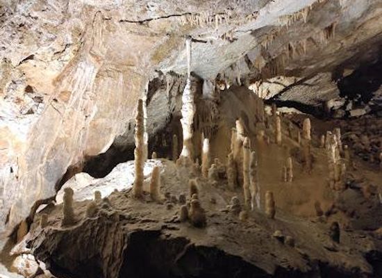 italy/trieste/attraction/postojna-cave