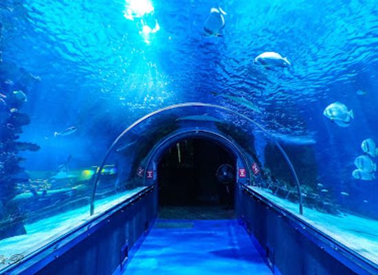 hungary/southern-great-plain/attraction/tropicarium-oceanarium-kft
