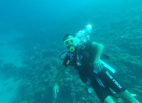 egypt/dahab/attraction/diving