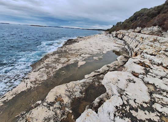 croatia/istria/attraction/beach-gustinja