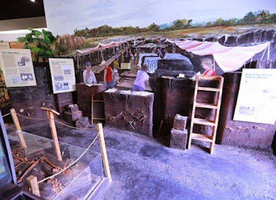 florida/space-coast/attraction/brevard-museum-of-history-and-natural-science