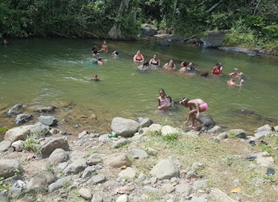 puerto-rico/caribbean-national-forest/attraction/rio-la-charca-de-cheo