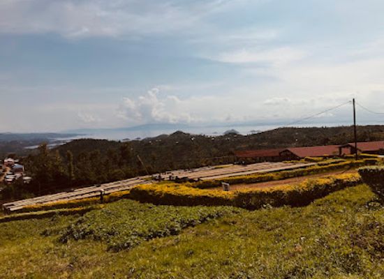 rwanda/karongi/attraction/kopakama-coffee-washing-station