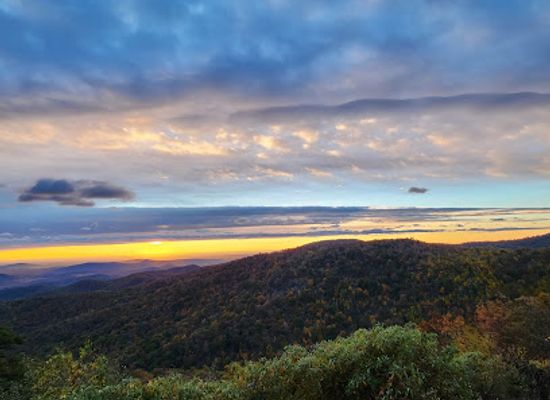 virginia/skyline-drive/attraction/meadow-spring-trail