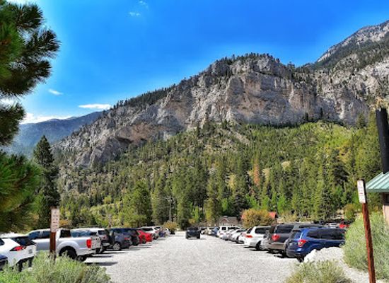 nevada/mount-charleston/attraction/mary-jane-falls-trailhead
