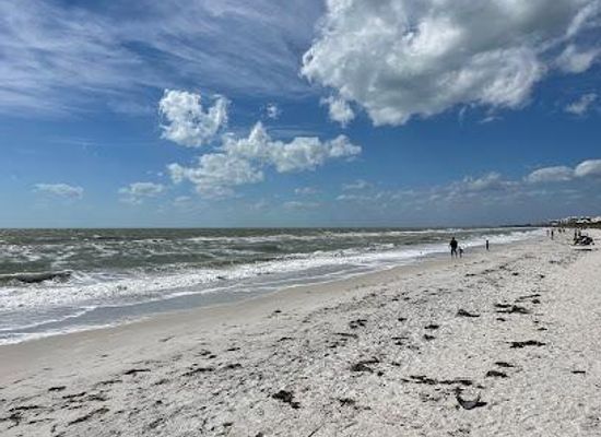 florida/captiva-island/attraction/barefoot-beach-county-preserve
