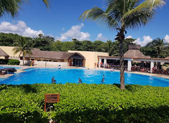 mexico/riviera-maya/attraction/dolphinaris-akumal