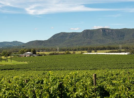 australia/hunter-valley/attraction/around-hermitage-wine-food-trail-hunter-valley
