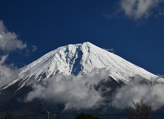 japan/mount-fuji/attraction/fuji-milk-land