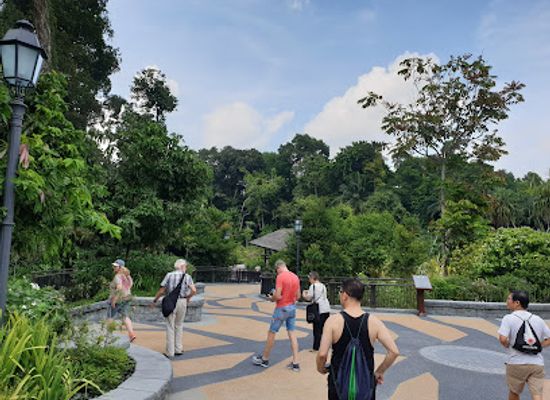 singapore/holland-village/attraction/keppel-discovery-wetlands