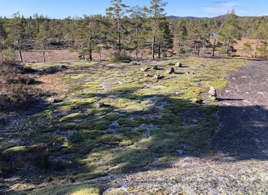 norway/agder/attraction/naturlig-zen-hage-pa-mosfjell