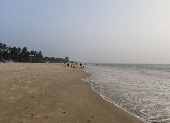 india/western-ghats/attraction/velsao-beach