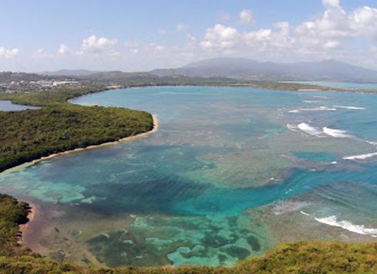 puerto-rico/greater-antilles/attraction/casa-ramon-power-y-giralt-para-la-naturaleza