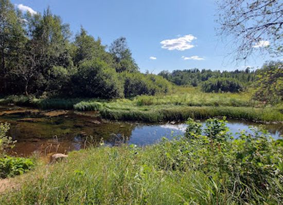 estonia/viljandimaa/attraction/sinialliku-matkarada
