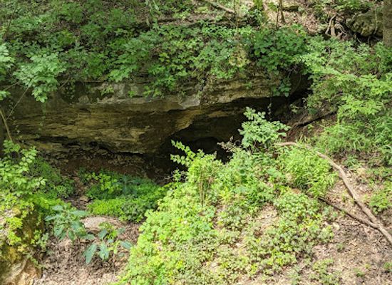 arkansas/ozark-national-forest/attraction/onyx-cave