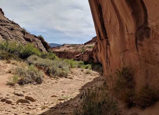 utah/grand-staircase-escalante-national-monument/attraction/hurricane-wash-trailhead