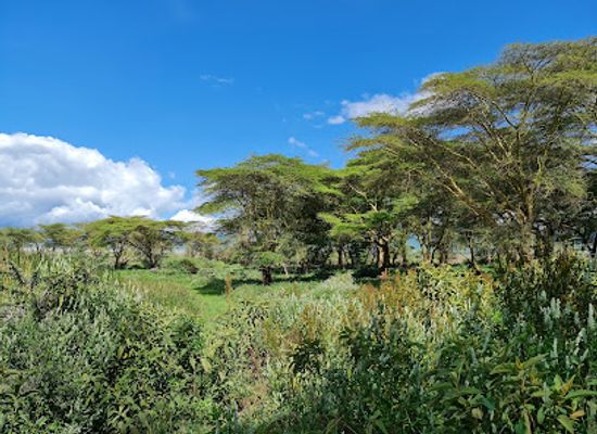 tanzania/ngorongoro-conservation-area/attraction/picknic-site
