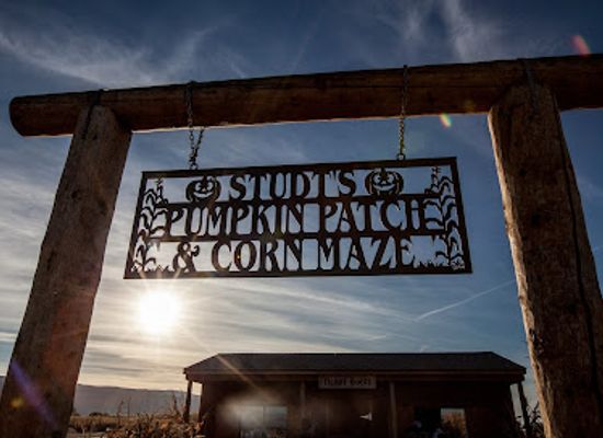 colorado/grand-junction/attraction/studt-s-pumpkin-patch-and-corn-maze