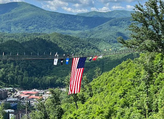 tennessee/hatchie-river-area/attraction/skybridge