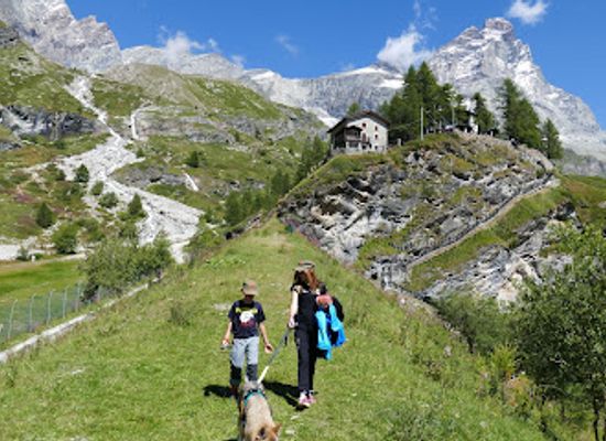 italy/cervinia/attraction/sentiero-partenza-da-cervinia-per-alpe-maberge-per-alpe-bayettes-a-bivacco-bobba-jumeaux-segnavia-11ee