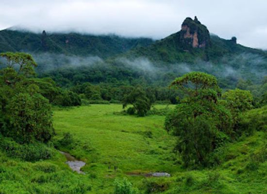 ethiopia/oromia-region/attraction/bale-mountains