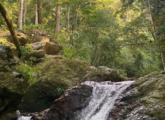 honduras/pico-bonito-national-park/attraction/las-3-posas-balneario
