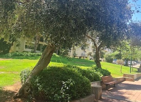 israel/kfar-saba/attraction/gan-hachalutz
