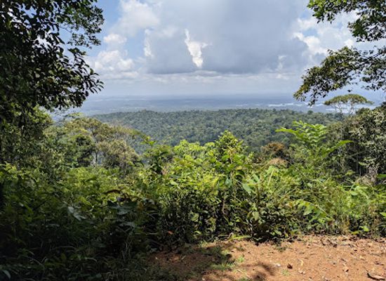 suriname/moengo/attraction/brownsberg