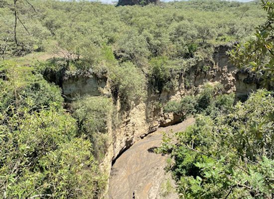 kenya/lake-naivasha/attraction/central-tower