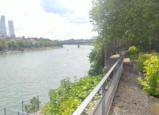 switzerland/basel/attraction/garten-der-alten-universitat