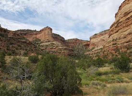 colorado/uncompahgre-plateau/attraction/ruby-canyon