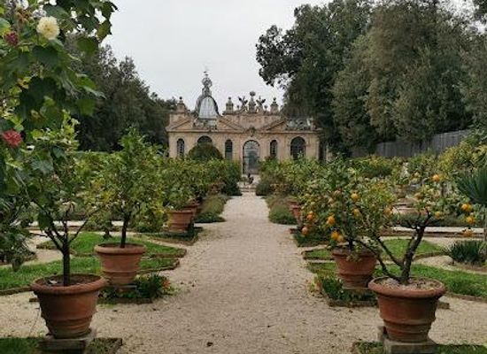 vatican-city/belvedere-courtyard/attraction/giardini-segreti