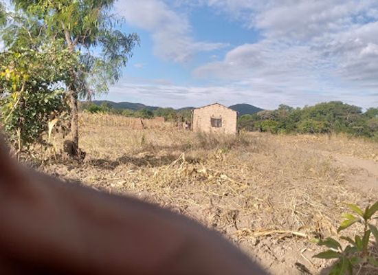 zambia/chipata/attraction/fedson-tembo-farm