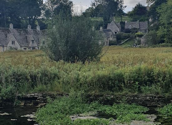 united-kingdom/cotswolds/attraction/crocodiles-of-the-world