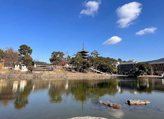 japan/kyoto/attraction/sarusawa-ike-pond
