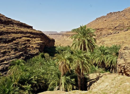 mauritania/chinguetti/attraction/chinguitty-voyages-mauritania-tours