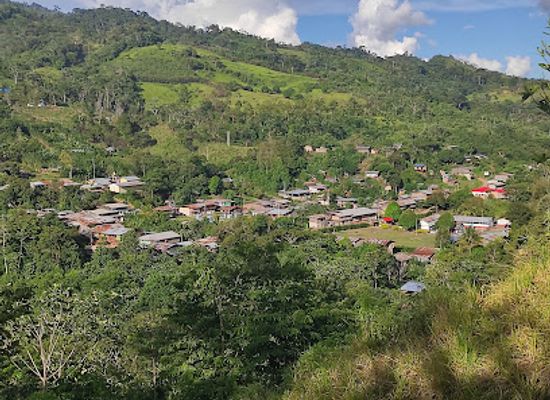 peru/san-martin/attraction/c-p-cashnahuasi-san-martin