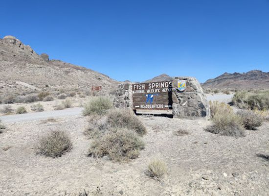 utah/west-desert/attraction/fish-springs-national-wildlife-refuge