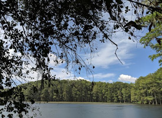 florida/tallahassee/attraction/gil-waters-preserve-park