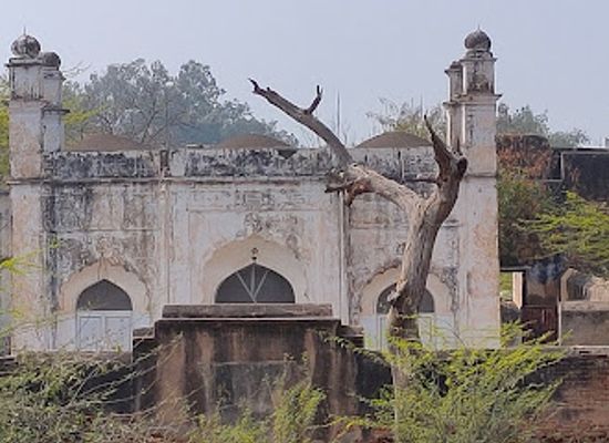 india/haryana/attraction/loharu-fort