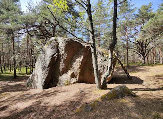 estonia/harju-county/attraction/augu-suurkivi