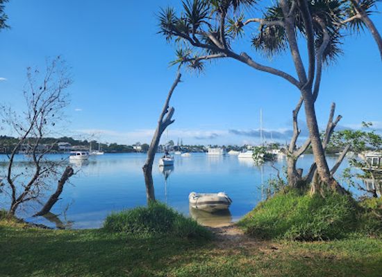 australia/noosa/attraction/noosa-woods