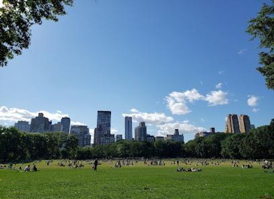 connecticut/greenwich/attraction/sheep-meadow